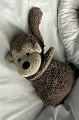 Lost toy monkey (Jellycat brand). 

We have lost our son's favourite cuddly monk