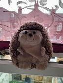 A cuddly hedgehog, very old and well loved. Is round and brown. Lost on train Ma