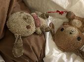 Reward £300 i lost my very loved dolls at leonardo hotel bradford england. I lef