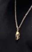 Gold spartan pendant with gold chain. Will be obvious if you see it.