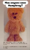 Our daughter dropped her beloved teddy bear, Humphrey, outside London Zoo Regent