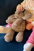 Lost Jelly cat ‘smudge’ elephant lost between London zoo and St. John’s tube sta