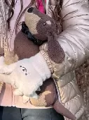 Our daughter’s most treasured soft toy, a medium-sized Jellycat London chocolate