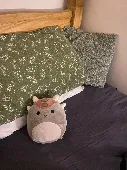 A teddy, he’s squishy and a tank dino, not sure where it was dropped, would like
