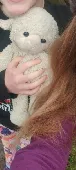 My daughter has lost her sheep teddy at the airport 