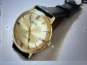 My grandfather's vintage watch: Provita Automatic like the one in the photo exce