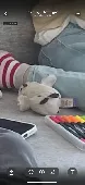 Lost soft toy baby owl and soft toy bat - both Living Nature. Accidentally left 