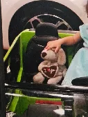 My daughter's stuffed animal. A puppy with a brown heart in his hand that says I