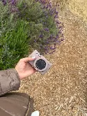The camera is a canon g7x mark II it has a purple case inside a white box. Pleas