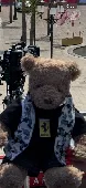 Lost my teddy bear on the train leaving Monaco to Menton at 11:01 AM on Saturday