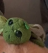 My daughter lost her fav turtle (shelly) in the play area of the killashee hotel