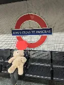 Large light brown teddy lost. Distinctive worn nose.