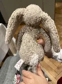 We have lost my daughter’s beloved Jellycat beige bunny. She had it for 3 years 