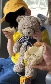 We lost my son’s first and most loved teddy bear in the airport in Rhodes. He is