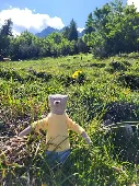 Hi,
our very small teddy bear Paul (13 cm) went missing on June 19, 2025, betwee