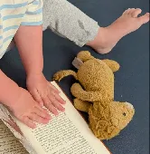 Lost small lion toy (irreplaceable). My niece has had tis lion since birth. It a