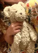 Old beige teddy bear lost on Fiji Airways flight 810 from Nadi Fiji to LAX Los A
