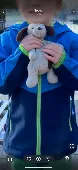 Very well loved puppy and panda. Puppy is white with brown spots. Panda is a bla