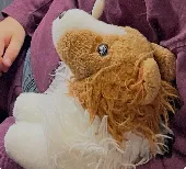 Brown/white long hair plush dog. Used condition with scratched eyes. My two-year