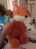 Jellycat cushy fox lost toy in the arcade games in Superbowl Norwich. This was a