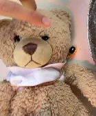 Histoire D'ours, about a couple inches tall, very round and soft, brown, wearing