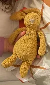 Daughter lost her favorite orange Jellycat rabbit. It has the letter R hand-embr