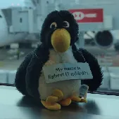 We have lost our plush penguin Egbert (without the blue sign). It must have happ
