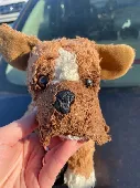 I found this little guy at the bins and lolking at him I can tell he was once so
