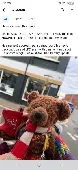 My friends bear has been lost...he is well loved and she wants and needs him hom