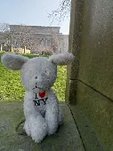 Small white Dog (about 6in tall) found in Liverpool near St Johns Park. Spotted 