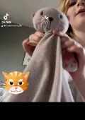 Pink blanket teddy bear. Looks like a little cat. A bit raggedy 