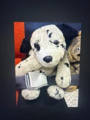 Hi there, I lost my beloved Dalmatian teddybear somewhere between gate B25 and l
