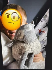 Lost Sheepie - 10yr old Ewan the Dream Sheep toy my son has slept with since new