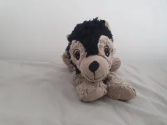 Found this teddy in Westgate - please see picture.