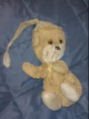 oso peluche perdido en Bogotá en el año 2011