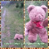 Found this lonely, lost little Teddy on Father's Day at side of the road where w