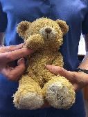 Small loved teddy with the name Scruffy on it's left paw. 