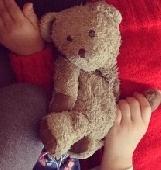 My daughter dropped her beloved teddy bear between St Gregory's church yard and 