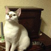 I have not seen my darling Unexpected since I left home on Saturday morning, he