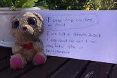 Lost cuddly toy found 8th April at gatwick airport