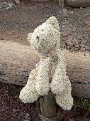 My son lost his teddy bear at Reynisfjara Beach in Iceland. The wave took him aw