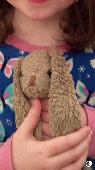 My 7 year old daughter lost her beloved brown bunny on a virgin train from Glasg