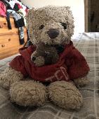 Much loved bear and his small canine companion were taken from my mobility scoot