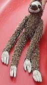 Huggie Sloth was lost while Trick or Treating on Halloween in the Villanova neig