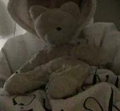 Its a really loved teddy bear. It has been in use for 18 years. Please help
