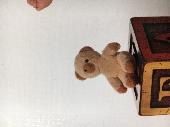 Lost a well loved teddy at the hotel over Labor Day weekend. Picture is the bear