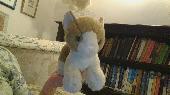 Brown and white toy cat found