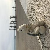 We were in Benidorm Saturday 16 Nov 2019 around 21:00 and lost our beloved trave