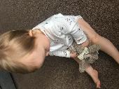 Hello. My baby girl lost her favourite comforter teddy bear whilst we were Chris