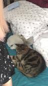 I left my teddy that I’ve had since I was 1 in room 209 of Whittlebury Hall Hote